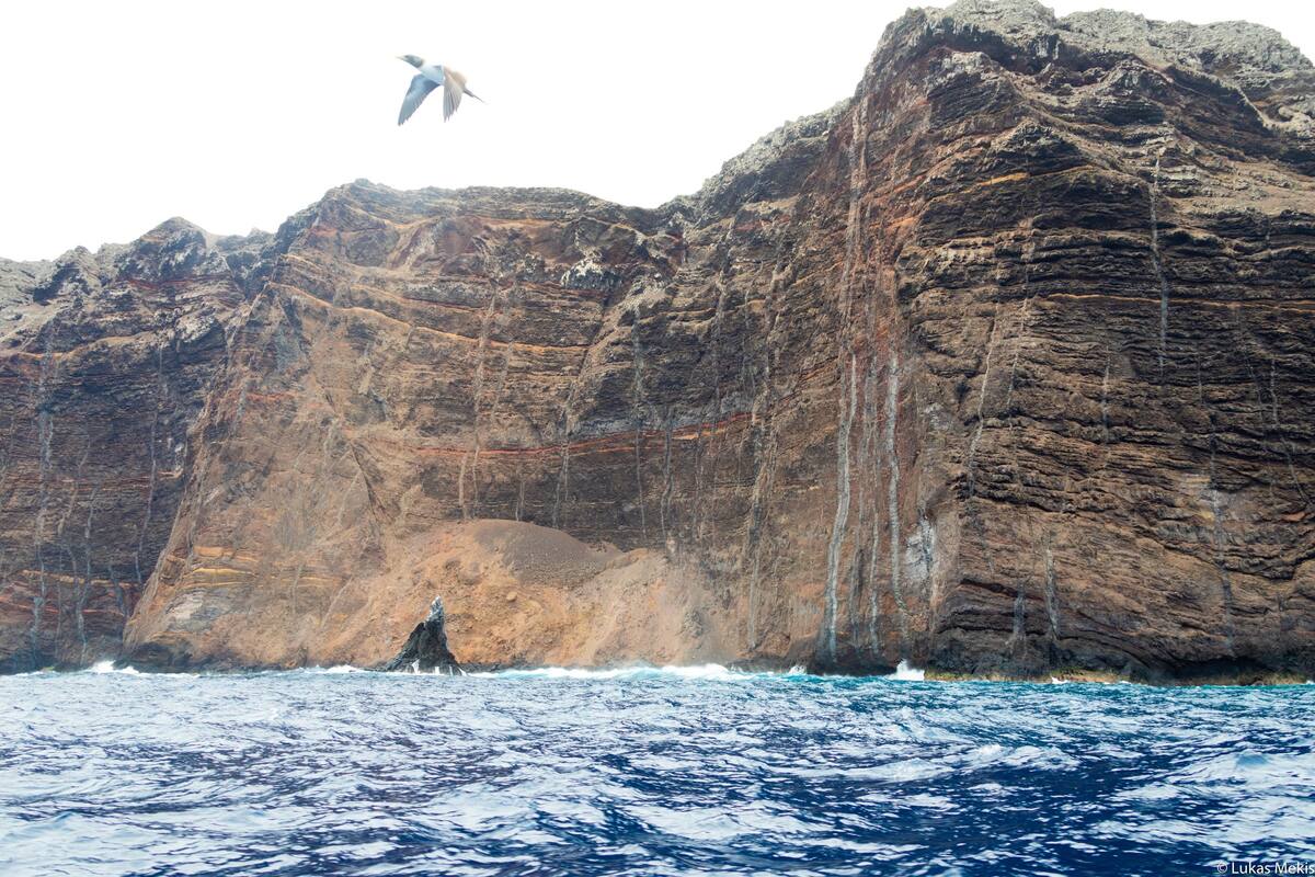 Acantilados de las islas Desventuradas