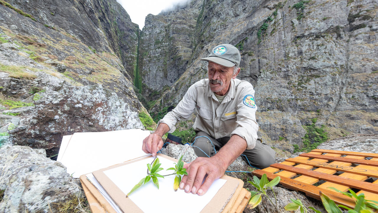 Documental de la expedición botánica